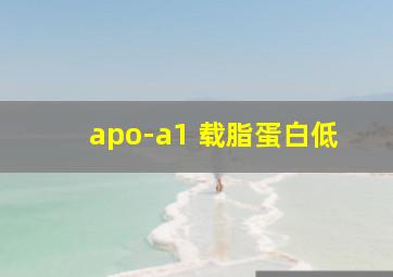 apo-a1 载脂蛋白低